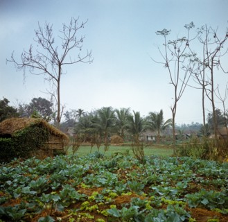 Historical Vietnam - North Vietnam 1973