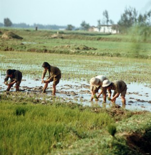 Historical Vietnam - North Vietnam 1973