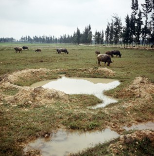 Historical Vietnam - North Vietnam 1973
