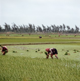 Historical Vietnam - North Vietnam 1973