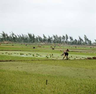 Historical Vietnam - North Vietnam 1973