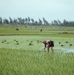 Historical Vietnam - North Vietnam 1973