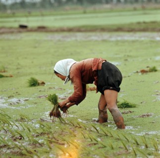 Historical Vietnam - North Vietnam 1973