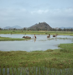 Historical Vietnam - North Vietnam 1973