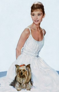 Audrey Hepburn