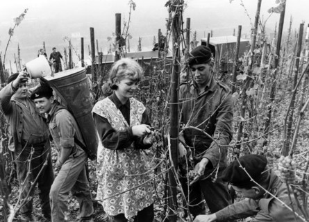 British soldiers help with vintage
