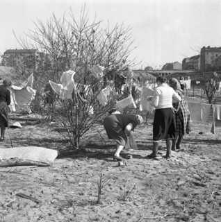 Berlin - camp for GDR refugees 1953