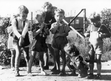 Post-war period - German refugees in Denmark