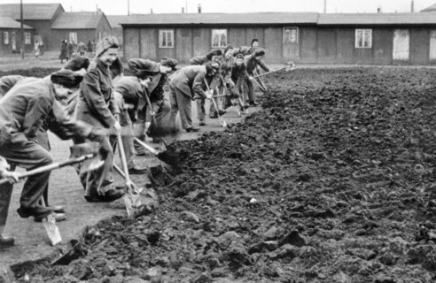 German refugees in Denmark