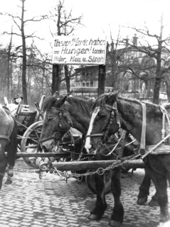 Demonstration against canceled feed supply