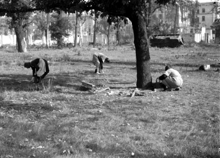 Trümmerfrauen" (women who clear away rubble after bombing)