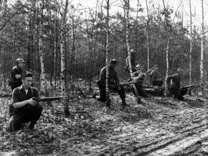 Manoeuvre of allied troops in Grunewald in Berlin