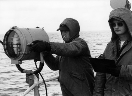 Signalmen during NATO exercise in North Sea