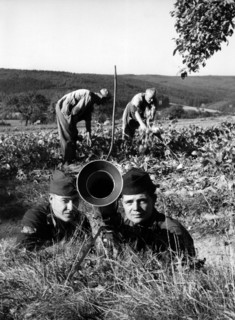 US maneuver 'Combino' in Germany