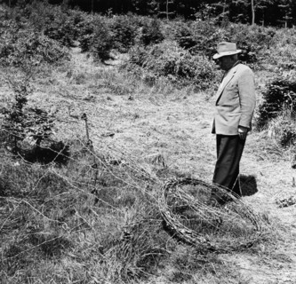 US Army cuts down saplings