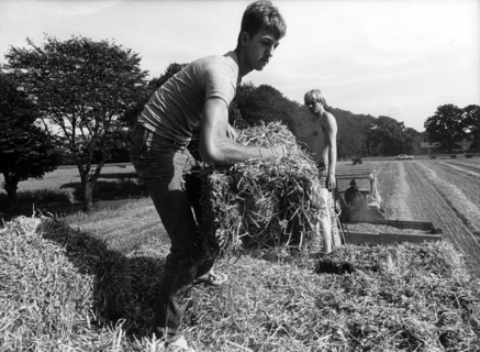 US soldiers help German farmers with harvest