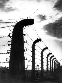 Concentration camp - Auschwitz