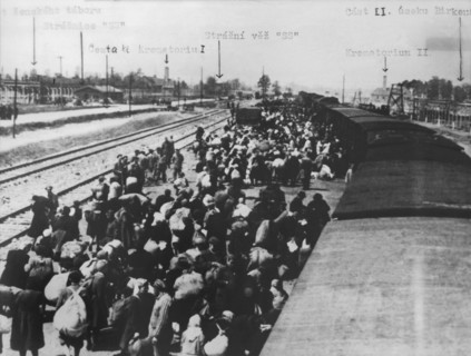 Auschwitz concentration camp