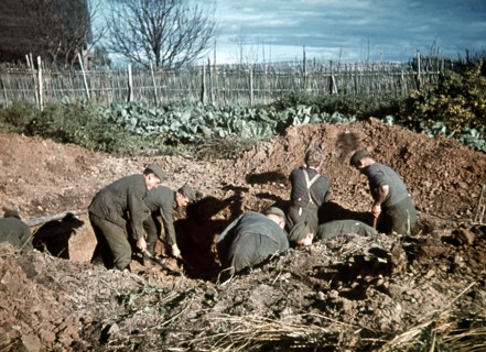 World War II - Eastern front