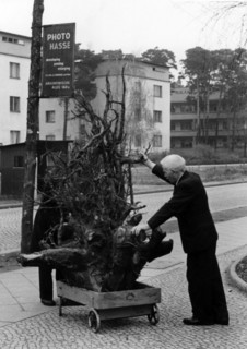 Postwar period: collecting wood for the winter