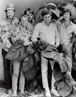 The Beach Boys