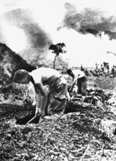 Guerre d'Indochine, 1954