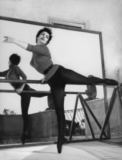 Gina Lollobrigida