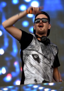 GERMANY MUSIC LOLLAPALOOZA