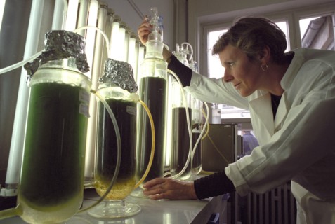 Ina Färber, assistante scientifique à l'Institut de recherche sur les céréales de