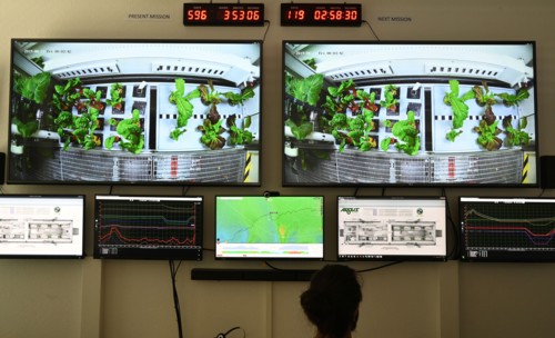 23.08.2019, Brême : Un employé de l'initiative EDEN du Centre aérospatial allemand (DLR) est assis