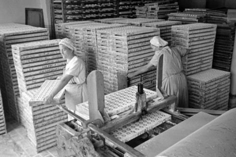 Arbeiterinnen bei der Süßwarenproduktion in der Süßwarenfabrik Oehler in Zeitz, Deutschland 1948.