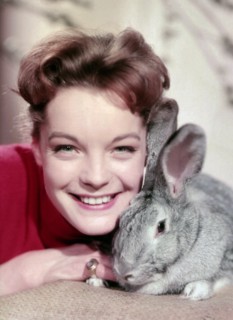 Romy Schneider