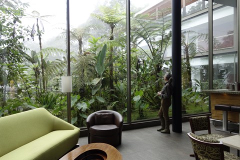 Mashpi lodge - Equateur