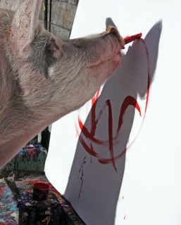 Pigcasso
