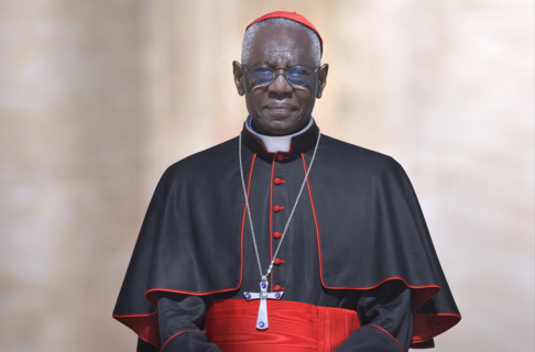 Cardinal Robert Sarah, Pope Francis during his weekly general audience on St.Peter's square at the