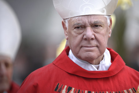 Cardinal Gerhard Ludwig Muller.Pope Francis celebrates the Palm Sunday mass in St Peter's square on