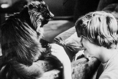 Françoise Sagan (1962)