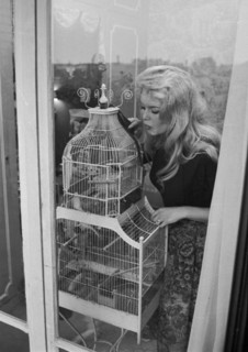 Brigitte Bardot (1958)