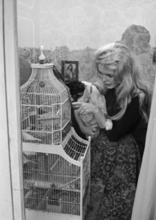 Brigitte Bardot (1958)
