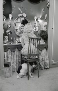 Brigitte Bardot