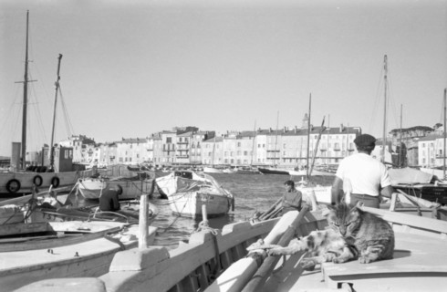 Le port de Saint-Tropez
