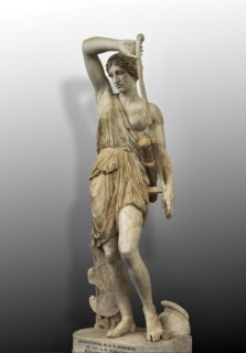 Amazone blessée