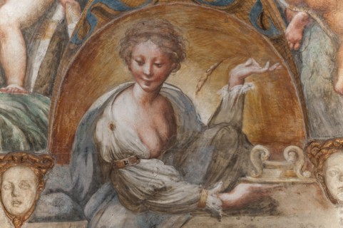 Parme, Fontanellato, Rocca Sanvitale, salle de Diane et Actéon