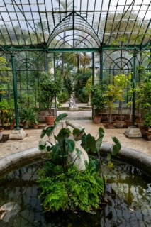 Jardin botanique de Palerme