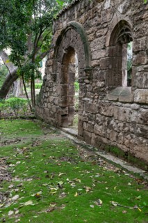 Jardin botanique de Palerme