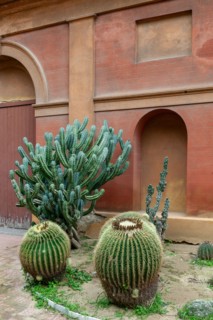 Jardin botanique de Palerme