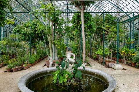 Jardin botanique de Palerme