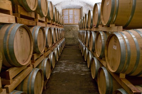 Winery Scacciadiavoli in Montefalco, Italie