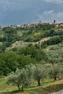 View of Montefalco, Umbria, Italie