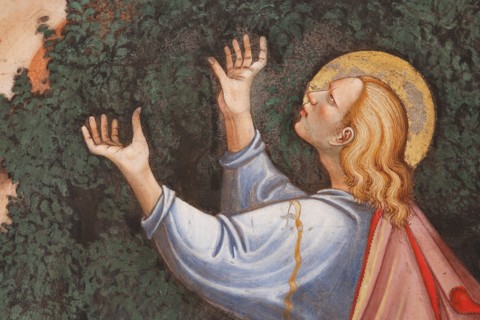 Vignola Stronghold, the Contrari Chapel, Southern wall